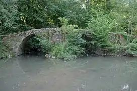 Photographie en couleurs de vieilles arches en pierre en partie recouvertes de végétation au-dessus d'un cours d'eau.