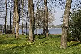 Vue de l’étang au Duc côté Ploërmel