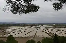 L'étang en eau depuis l'oppidum d'Ensérune