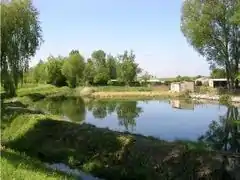 Étang du Pont d'Ham, relié au ruisseau de la Buzelle.