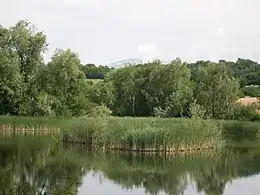 Etang de Haute-Jarrie