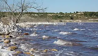 L'étang de Lavalduc, étendue d'eau très chargée en sel.