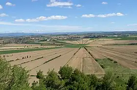 Dans un paysage de campagne, des champs disposés en rayons convergent vers un espace herbager central de forme circulaire.