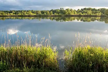 Etang de Pierre Lorraine.