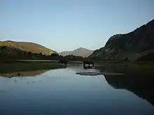 Deux chevaux broutent les pieds dans un plan d'eau, des montagnes en arrière-plan.