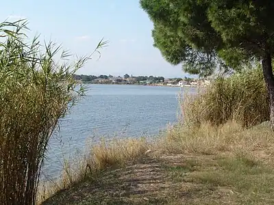 Vue du rivage.