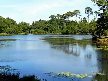 Retenue d'eau aménagée pour la production d'énergie hydraulique, donnant naissance à l'étang des Forges à Pontenx