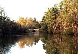 Étang du Coupe-Gorge au nord