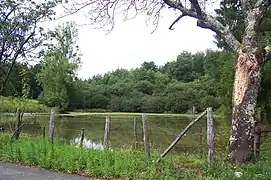 Photo montrant une petite mare avec au premier plan une clôture de fil de fer.