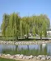 Etang de promenade, à l'ouest du village.