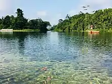 La rivière Ethiope, dans l'état du Delta, réputée la seule d'eau claire du Nigéria. Elle aurait également des qualités mystiques car sa source jaillit sous un bel arbre. La rivière apporte eau et nourriture aux villages voisins, et attire les touristes. Septembre 2017.