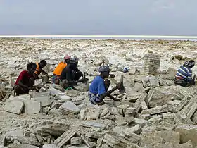 Image illustrative de l’article Lac Karoum (Éthiopie)