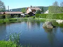 Étang de pêche familiale.