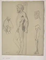 Etude anatomique d’Odilon Redon - Homme nu, debout de profil, trois études, d’écorché et de squelette.