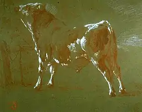 Étude de taureau, musée des Beaux-Arts de Bordeaux