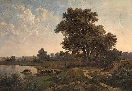 Bruyère près d'Oosterbeek