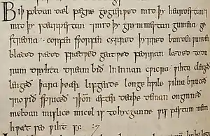 Portion du Livre d’Exeter (xe siècle) avec la forme du g insulaire pour la lettre g.