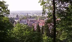 L'arboretum : Exotenwald Weinheim.