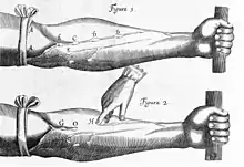 Dessin d'une expérience l'existence de valves veineuses.