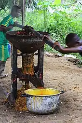 Extraction de l'huile de palme