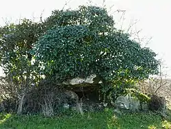Le dolmen d'Eylias.