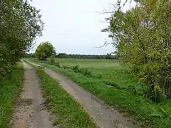 Chemin à Eysines