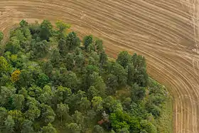 Photo aérienne du paysage de l'île en septembre