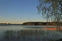 Vue du fjärd avec au fond une forêt et au premier plan des zones humides