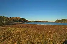 Zones humides sur l'île de Mattön