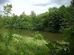 Boussois, la Sambre à l’endroit où la chaussée Brunehaut la franchissait.