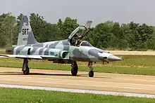 Northrop F-5E Tiger II en 2000. En cours de remplacement par les Gripen.