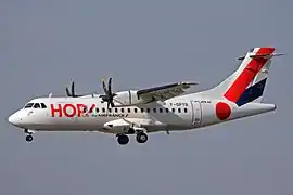 La liaison avec Paris-Orly est assurée par un ATR 42.