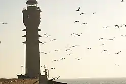 2008 - Le phare refuge des mouettes et cormorans au lever du jour.