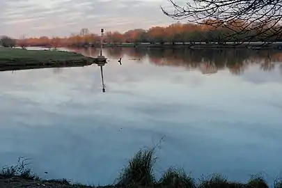 La pointe de l'île à la confluence de la Mayenne (en bas et à gauche) et de la Sarthe (en haut et à gauche) formant la Maine, au nord d'Angers.