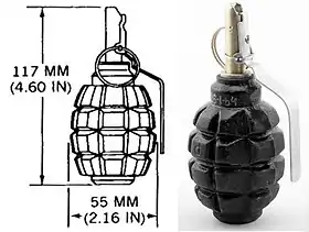 Photographie d'une grenade et de son dessin technique.