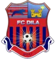 Logo du Dila Gori