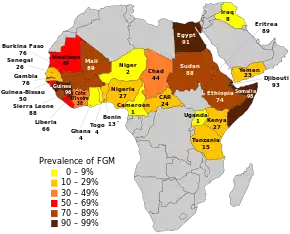 Carte de l'Afrique avec certains pays colorés