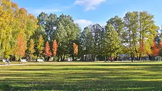 Sorsapuisto en automne.