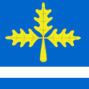 Drapeau de Mladenovac