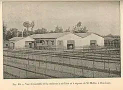 Sécherie de morues, à air libre et à vapeur, de M. Mellis, Bordeaux, 1902.