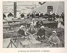 Photographie en noir et blanc montrant plusieurs femmes triant des sardines sur des tables installées sur les quais du port.
