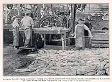 Des ouvriers travaillent à la chaîne dans une usine de poissons.