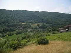 La vallée du Tarn à Broquiès.