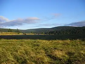 Forêt d'Auvers et mont Mouchet