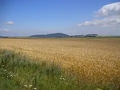 Plateau agricole en Haute-Loire.