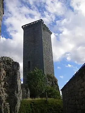 La tour du château.