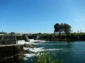 Une vue sur l'île Marteau depuis la petite île de l'écluse de Crouin.