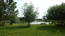 Vue de l'étang des "Moulins de Giroins", entouré par un petit chemin, et au bord duquel se trouvent des arbres et de l'herbe.