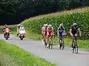 Sur une route bitumée assez étroite bordée par un champ de maïs, six coureurs cyclistes, suivis par deux motos et un autre coureur cycliste, lors de la course du Prix Marcel-Bergereau en 2017.