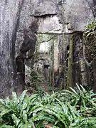 Vue d'un corridor tracé dans d'anciennes carrières de pierre de Crazannes, avec, au pied des falaises de pierre calcaire, des fougères.